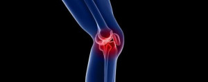 The Dreaded ACL Tear – Rehab Protocols from JOSPT and Solutions for ...