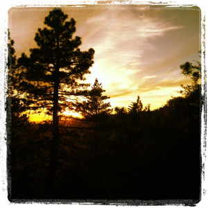 matters most in life are #quotes and stuff that tell you what life ...