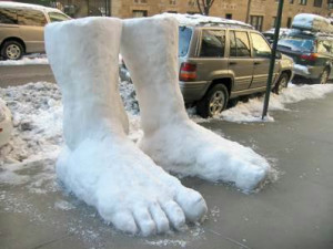 What two feet of snow looks like in New York