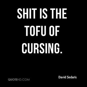 David Sedaris - Shit is the tofu of cursing.