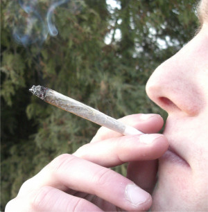 Study: Marijuana Smoking Tied to Testicular Cancer