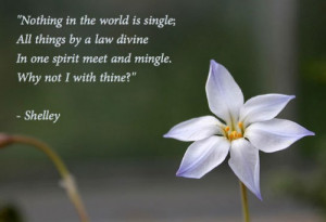 Percy Bysshe Shelley Poems