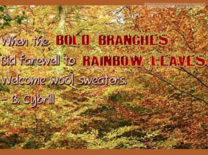 When The Bold Branches, Bid Farewell To Rainbow Leaves, Welcome Wool ...