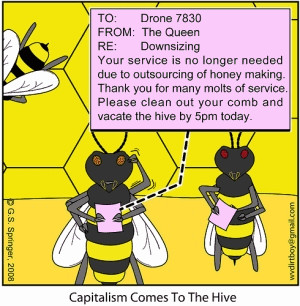 14) Bee layoffs at the hive