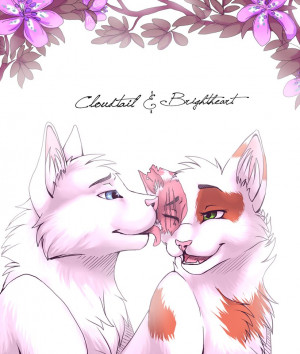 Brightheart Cloudtail Photo...