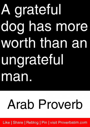 ... Dog Quotes, Proverbs Proverbs, Quotes Feelers Truths, Grateful Dogs