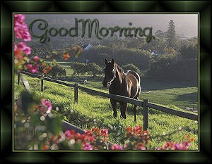 good morning rosemary i m glad you like the horsey gms you may snag of ...