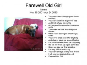 Dog Loss Quotes Your pet loss stories. '