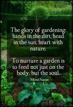 Gardening Quotes