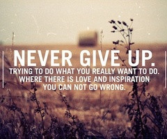 Never Give Up Quotes In collection: never give up