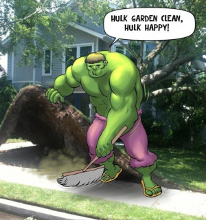 Funny Hulk MEME 2014
