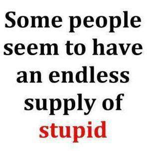 facebook status quotes graphics andments quotes i stupid people quotes