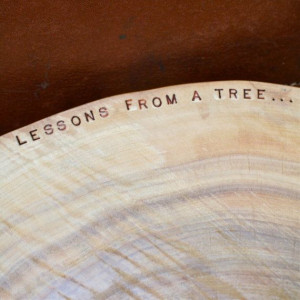 Graduation Quote Tree Slice Live Edge Wood Key by realwoodworks1, $125 ...