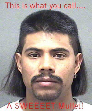 Related Pictures funny mullets 1