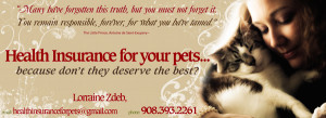 love your pet llc pet care university love your pet
