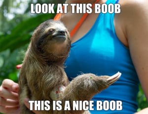 sloth memes sloth memes sloth memes sloth memes sloth memes