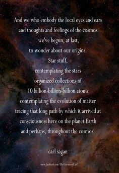 Stardust Quotes