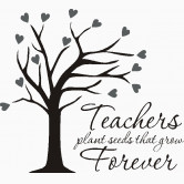 teachers plant seeds that grow forever good teachers light the way ...