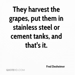 They harvest the grapes, put them in stainless steel or cement tanks ...