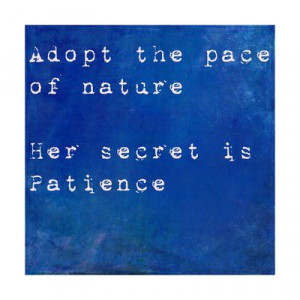 Inspirational Quote By Ralph Waldo Emmerson On Earthy Blue Background
