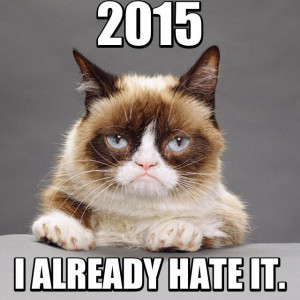... grumpy may not like it but what else would you expect from grumpy cat