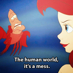 the little mermaid sebastian quotes tumblr ... gif disney 3 the