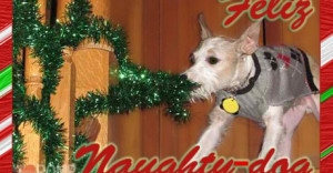 Funny-dog-christmas-card-cards-doggy-holiday-feliz-navidad-460x240.jpg