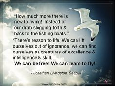 Are you a bird like Jonathan Livingston Seagull that wants to soar to ...