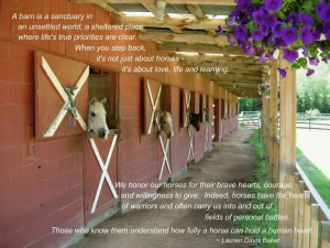 Hors Barns, Dreams Barns, Equestrian Quotes, Hors Quotes, Future Barns ...