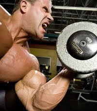 Funny Quotes Contact Us DMCA Notice