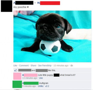 funny-facebook-status-updates-cute-puppy