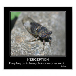 Perception Beauty Cicada Motivational Quote Poster From Zazzle