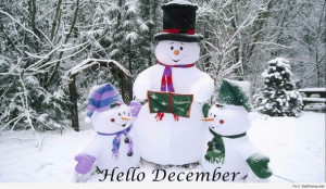 ... hello december, humor, quotes and sayings, funny winter, winter 2013