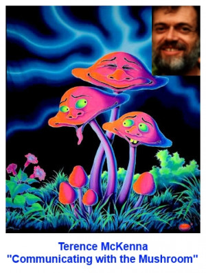 terence mckenna quotes mushrooms terence mckenna quotes mushrooms ...
