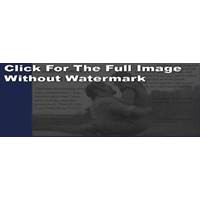 The Notebook Quotes Credited