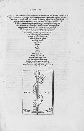 Musurus Venice Aldus Manutius and Andreas Torresanus August 1514