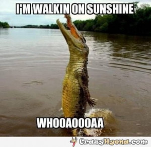 Amusing crocodile in a lake