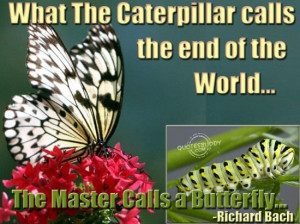 Found on quotesbuddy.com