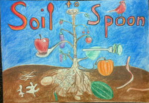 Soil And Water Conservation Poster