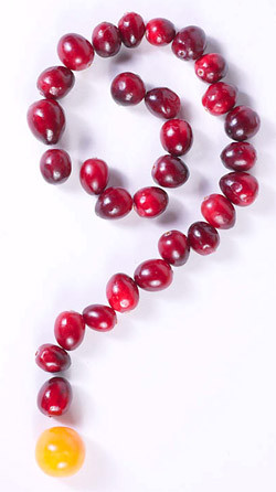 Funny Multiple Personality Disorder Quotes