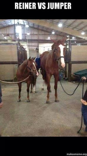 horse stuff funny horse horse quotes horse riding horseback riding ...