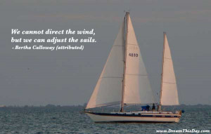 We cannot direct the wind , but we can adjust the sails .