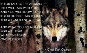 ... Gray Wolf, Quotes, Spirit Guide, Dan George, Wolves, Wolf Eye, Animal