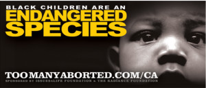 BREAKING: 70 “Black Children are an Endangered Species” billboards ...