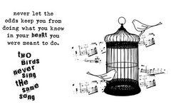 Bird Cage Quotes Pictures