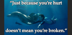 ... Dolphin Tale Quotes, Tales Great Movie, Movie Quotes, Dolphins Tales