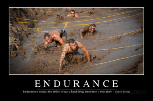 Endurance: Inspirational Quote and Motivational Poster Photographic ...