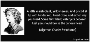 -plant, yellow-green, And prick'd at lip with tender red. Tread close ...