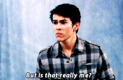 max schneider