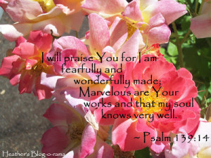 Bible Verse regarding Friendship